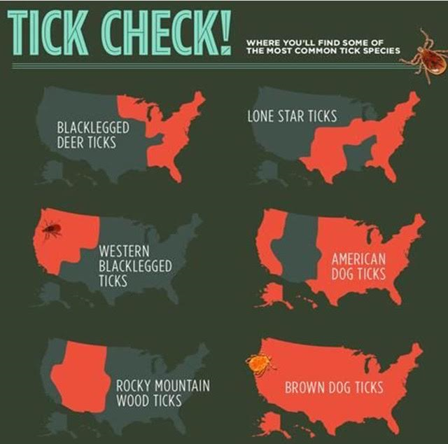 Tick Areas