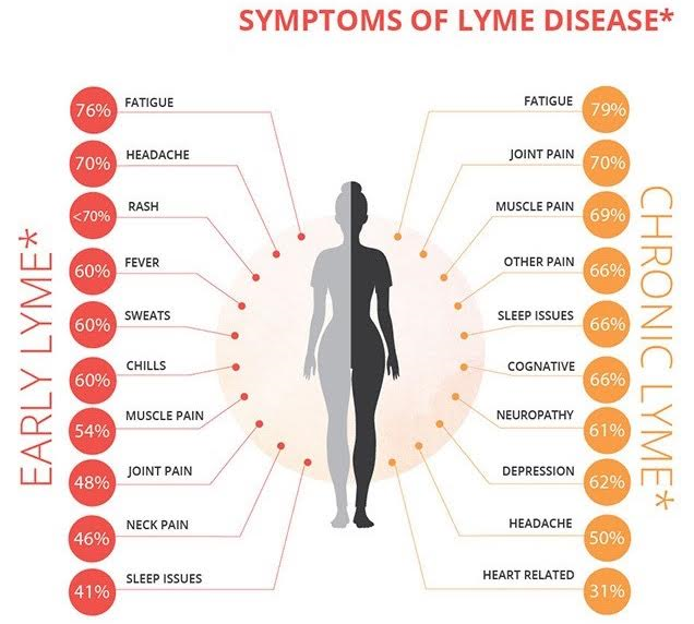 Symptoms of Lyme
