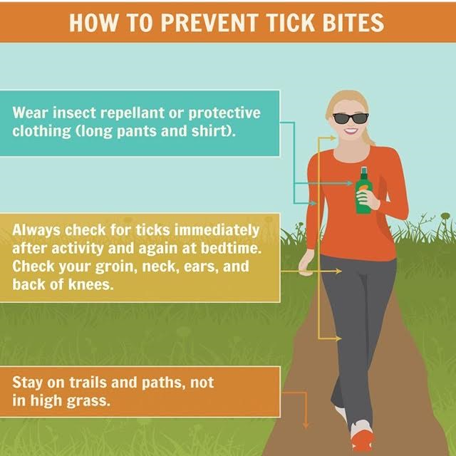 Lyme Prevention